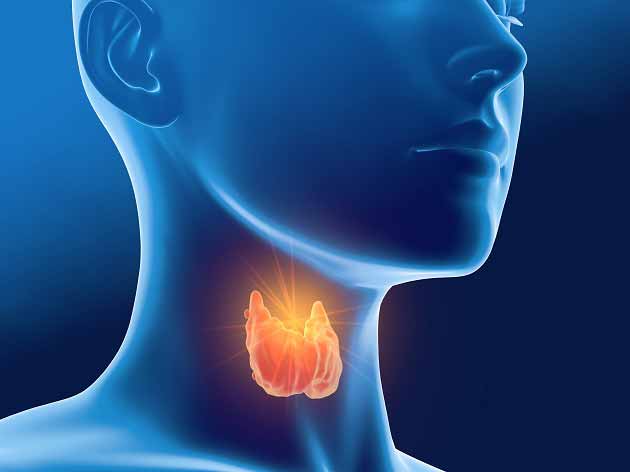 بهترین دکتر تیروئید شیراز